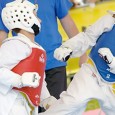 In previsione del campionato regionale 2014, il Comitato Regionale Lazio organizza un allenamento per i cadetti A- B da gialla a nera, presso la palestra della A.S.D. TAEKWONDO KARISMA. Data:...