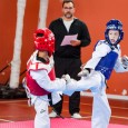 Si comunica che il giorno 11 Dicembre, dalle ore 09:30 alle ore 12:30, si svolgerà un allenamento propedeutico al combattimento con finalità ludiche per Beginners, Childrens e Kids (tutti i...